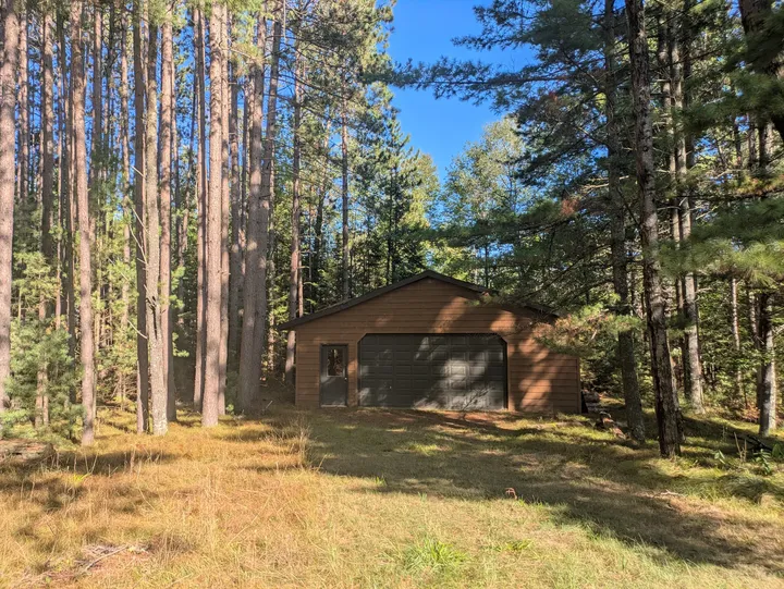 Detached wood-sided garage framed by tall pines