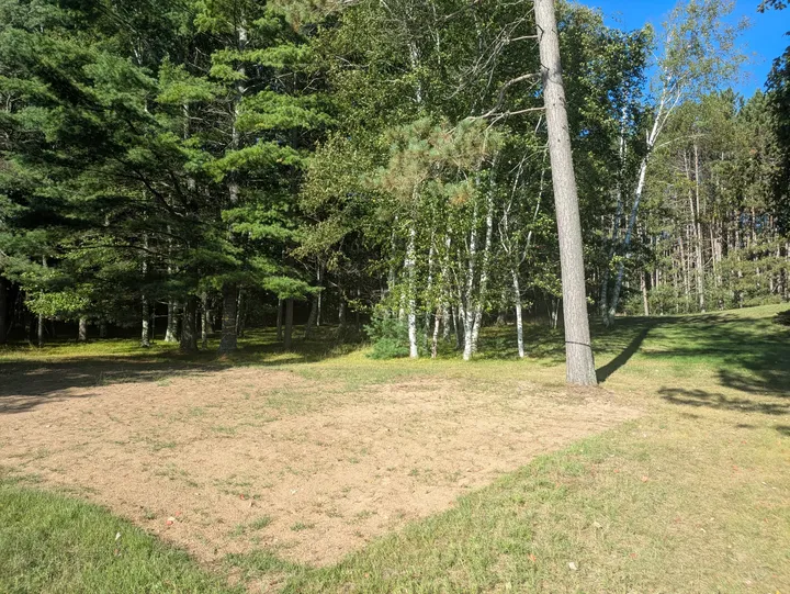 Grassy outdoor space bordered by mature trees