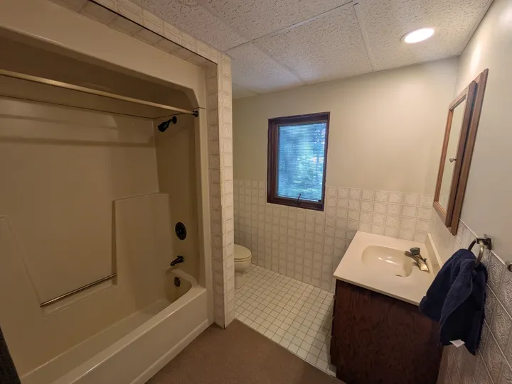 Lower-level bathroom showing the shower and vanity