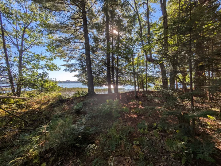 Snowden Lake and shoreline vegetation seen through mature trees from the wooded lot