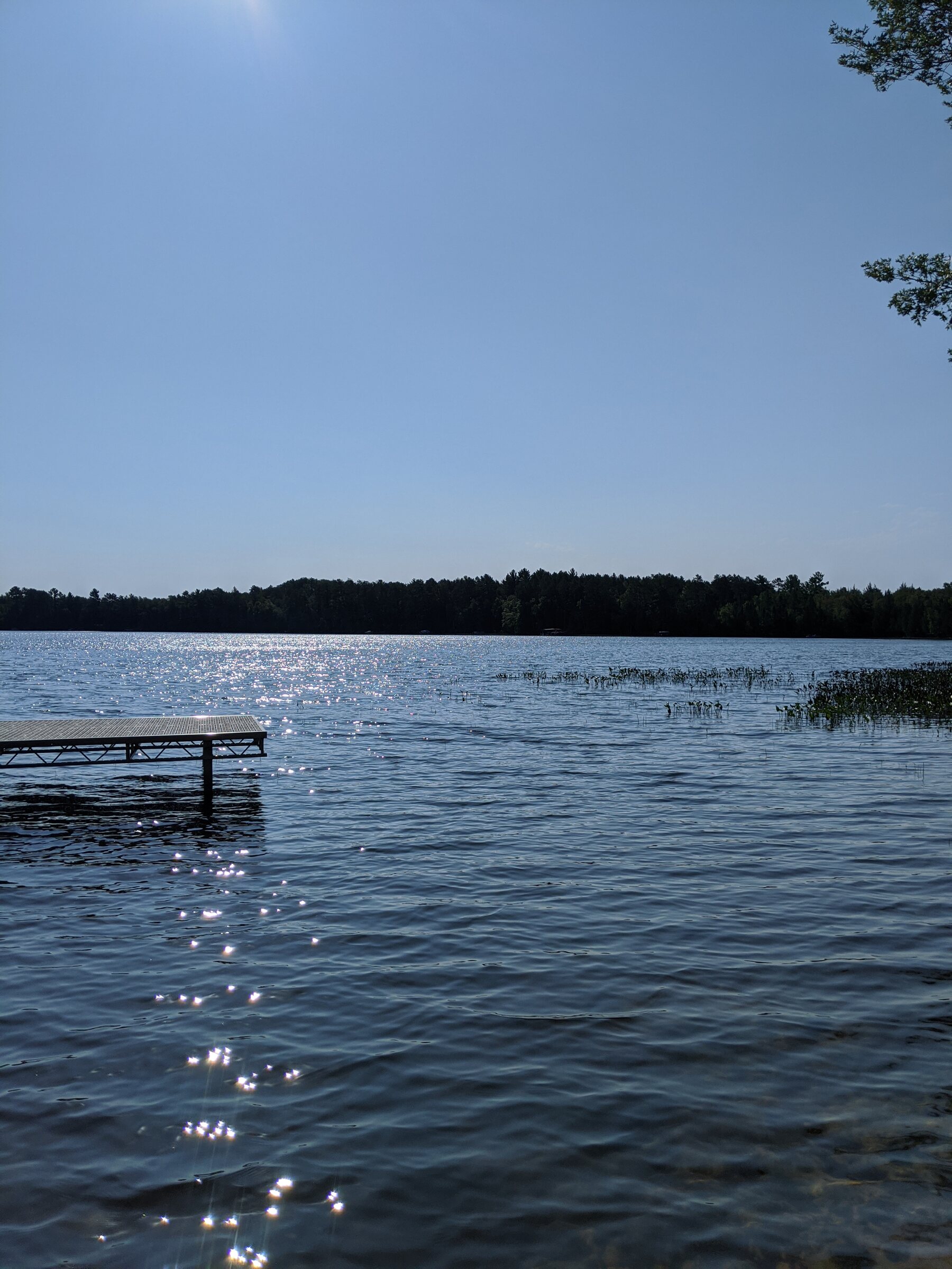 Summer view from the shoreline across Snowden Lake with a dock in the foreground